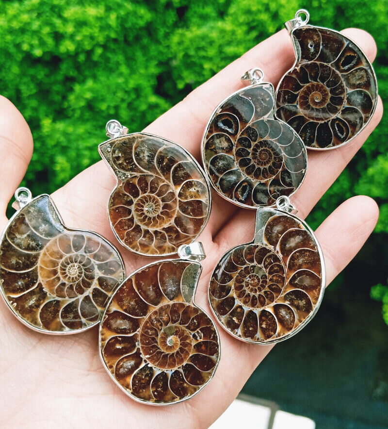 10pcs Natural Ammonite Fossil Pendant Chakra Reiki Healing Amulet Energy