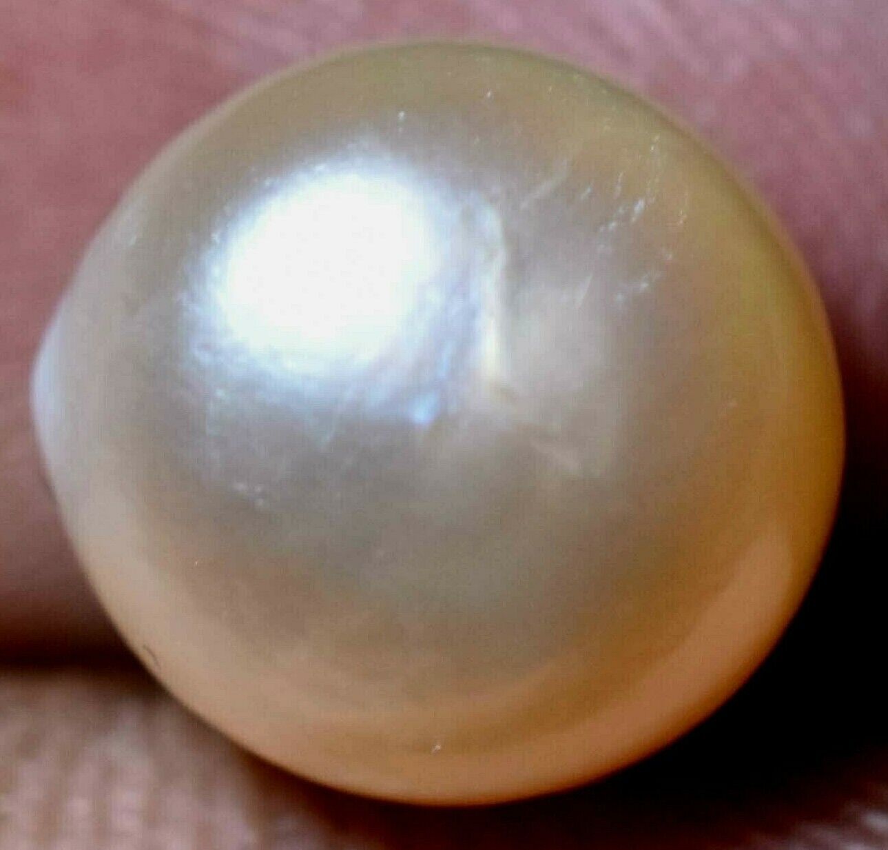 Natural Australian South Sea White Pearl 8.20 CT Certified Untreated Gemstone 