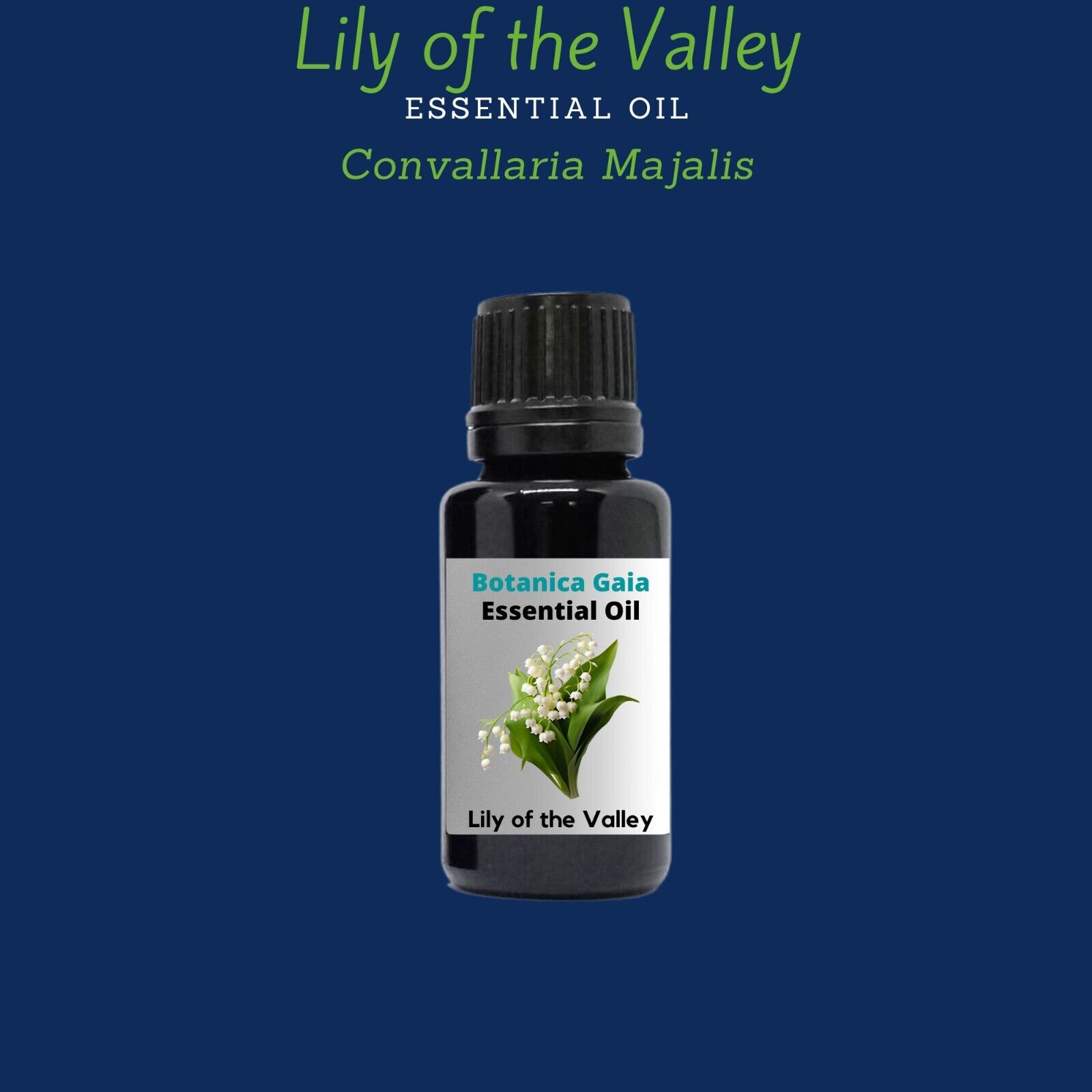 Rare Lily of the Valley, High Quality Essential Oil, 100% Pure and natural.