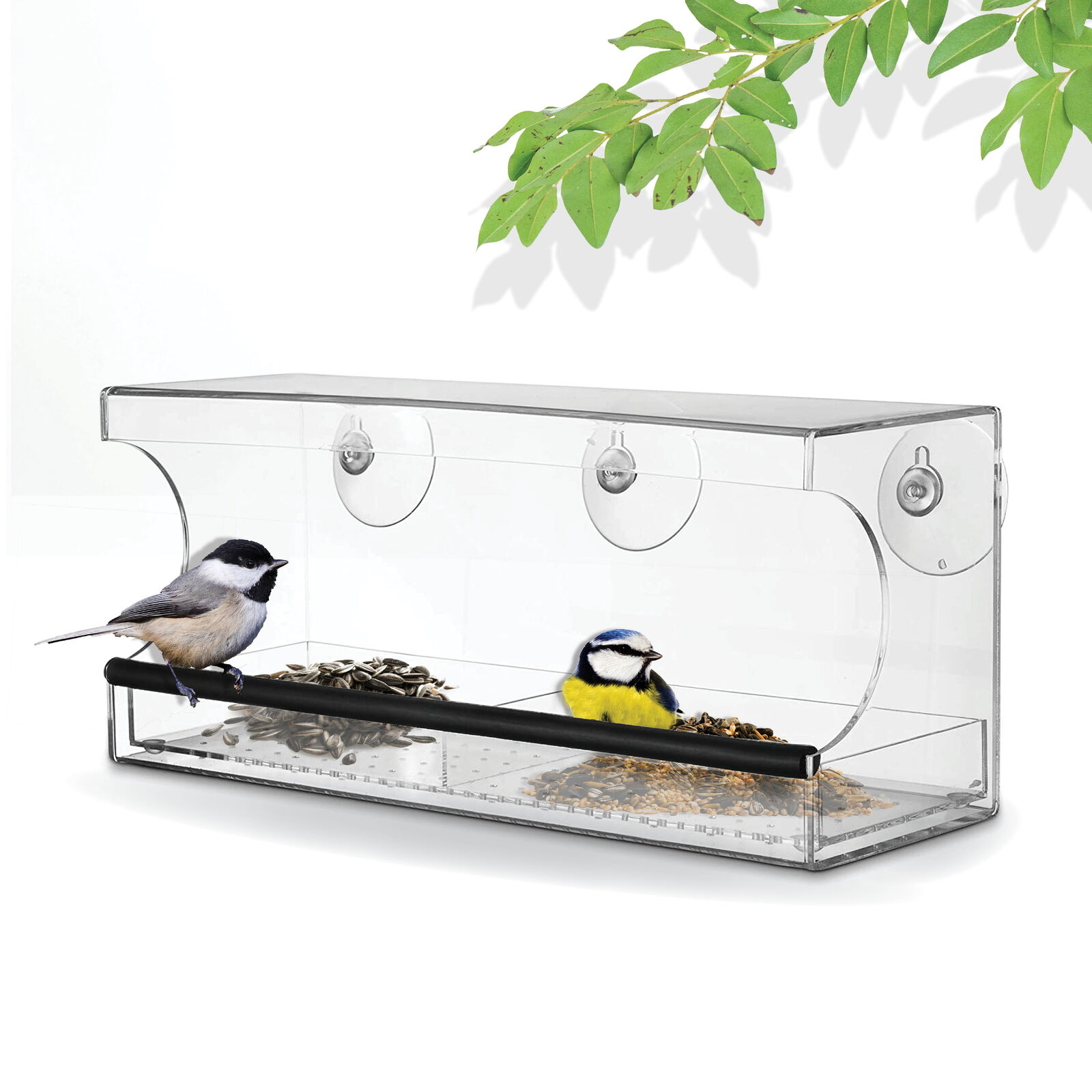 Backyard Expressions Window Bird Feeder | Clear Seed Tray | Firmly Attaches