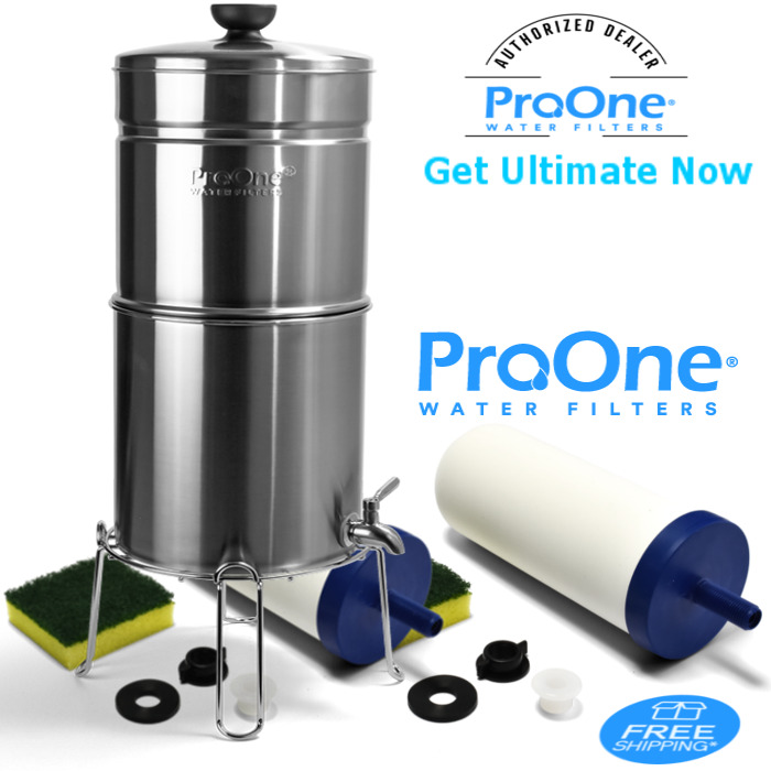 ProOne Traveler Plus Brushed Stainless steel with 2-ProOne 7 inch G2.0 fi