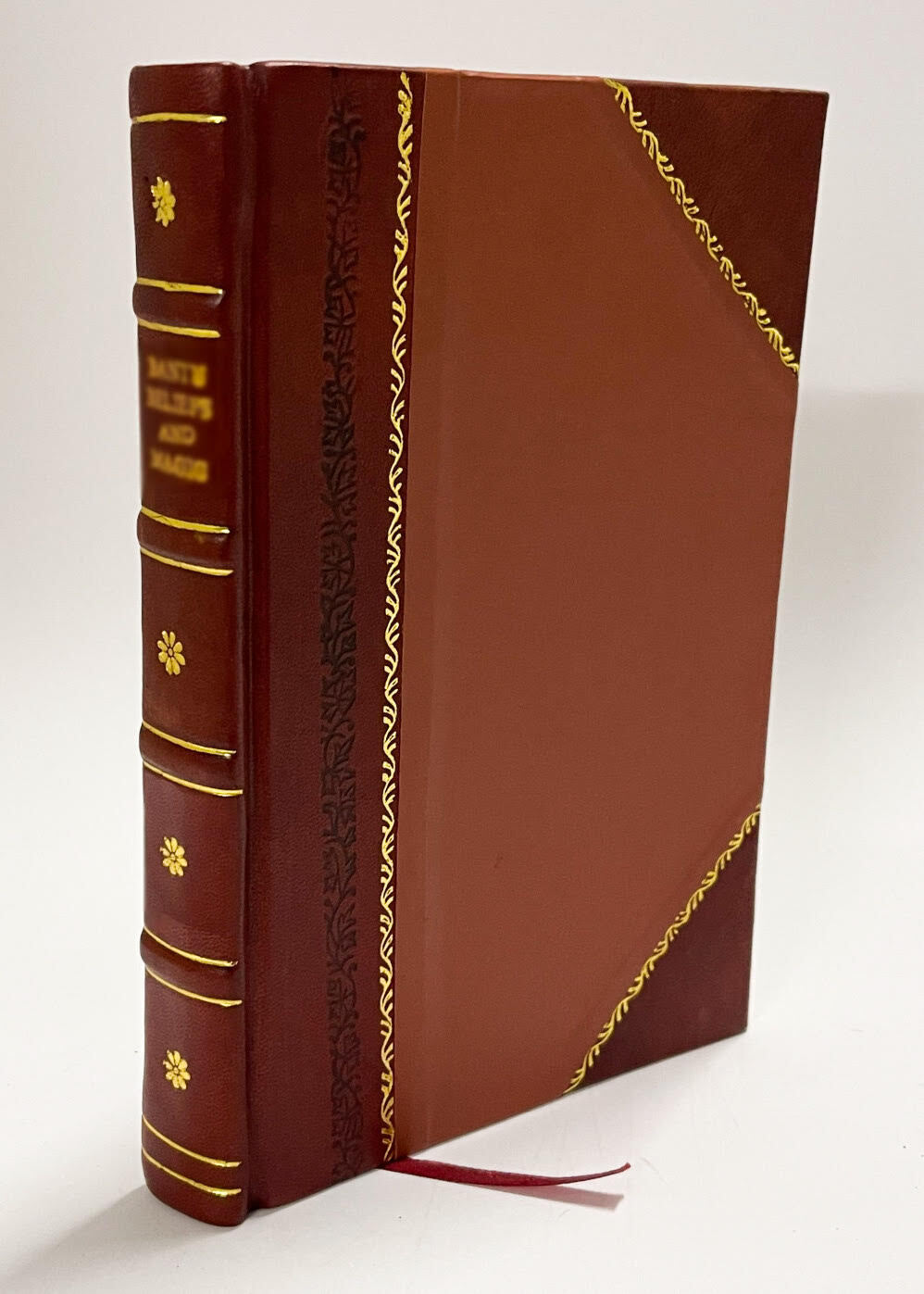 American Syndicalism; the I.W.W., by John Graham Brooks ...  [Leather Bound]