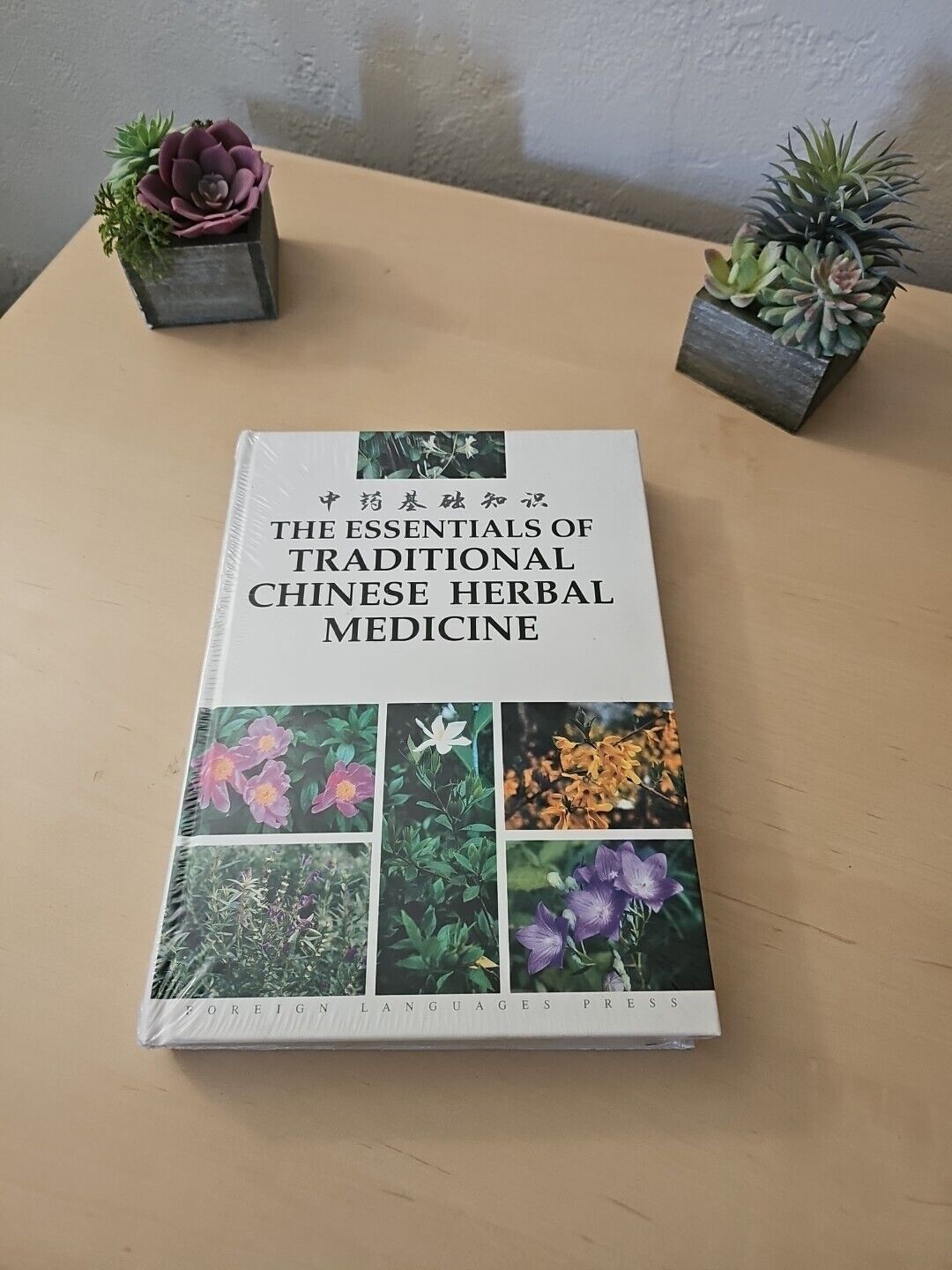 THE ESSENTIALS OF TRADITIONAL CHINESE HERBAL MEDICINE By Liu Ganzhong BRAND NEW