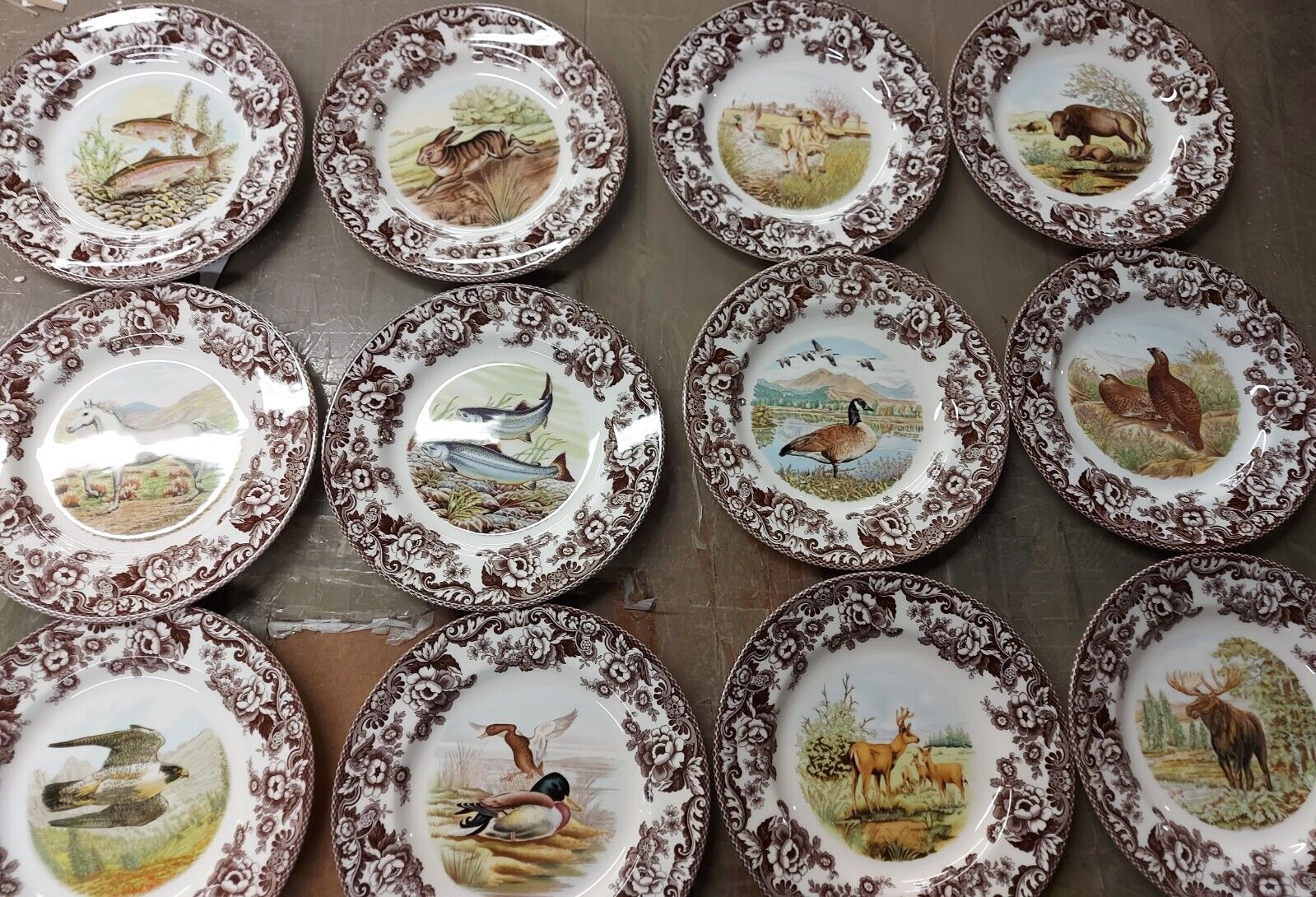 Spode Woodland Set Of 12 Dinner Plates- 12 different designs- 4 birds, 2 fish ++