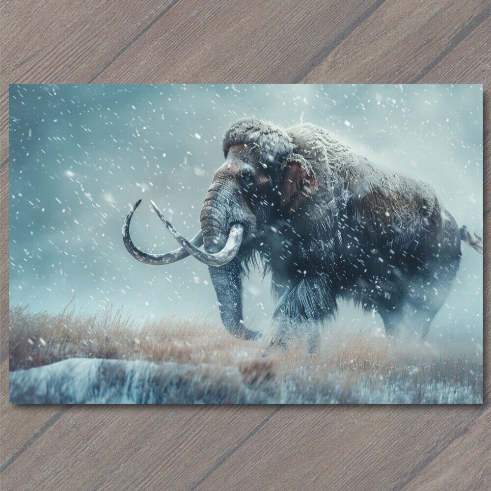 POSTCARD Woolly Mammoth Extinct Elephant Snowy Weird Vibe Strange Unusual Creepy