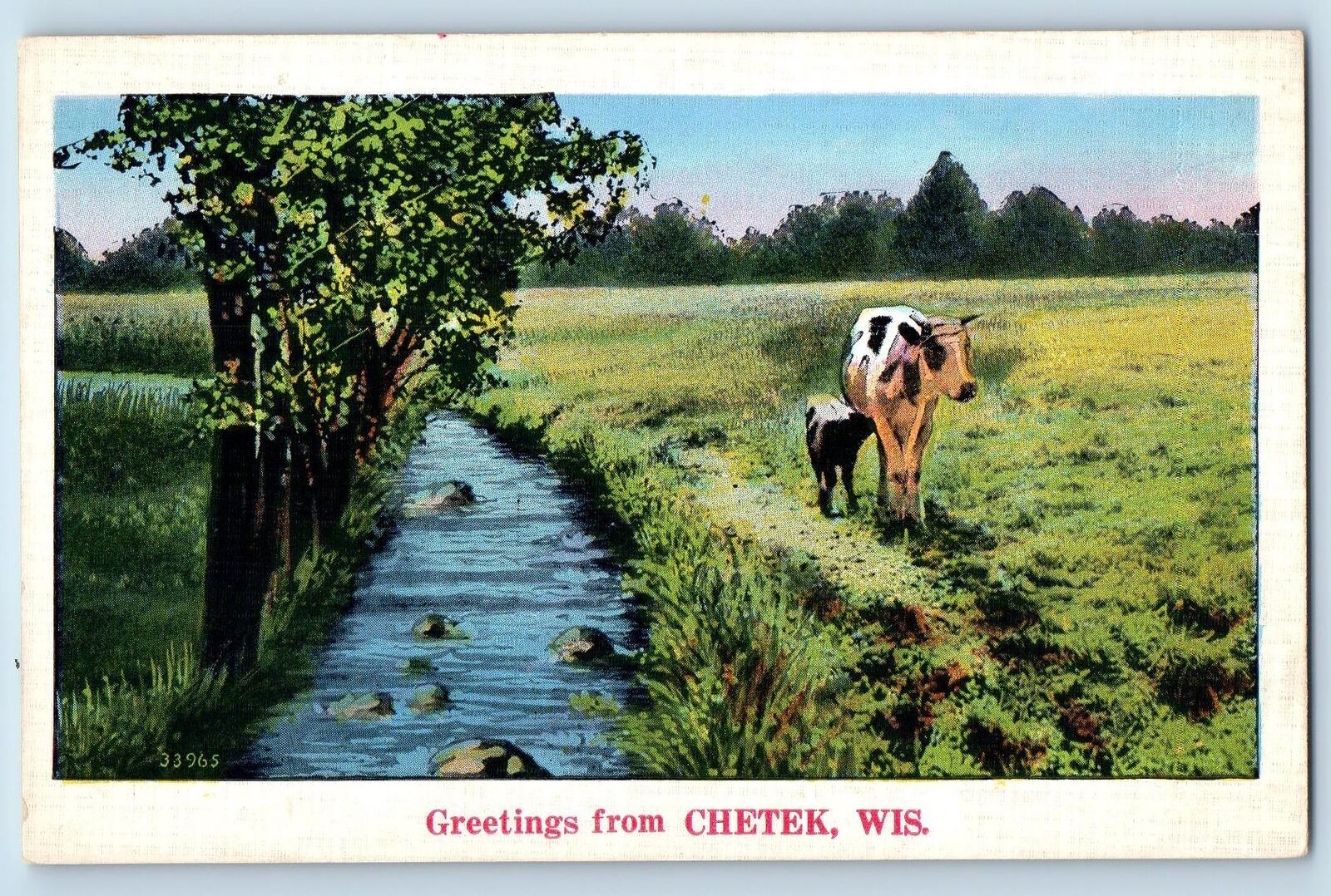 Chetek Wisconsin WI Postcard Greetings River And Cows Scenic View c1920s Antique