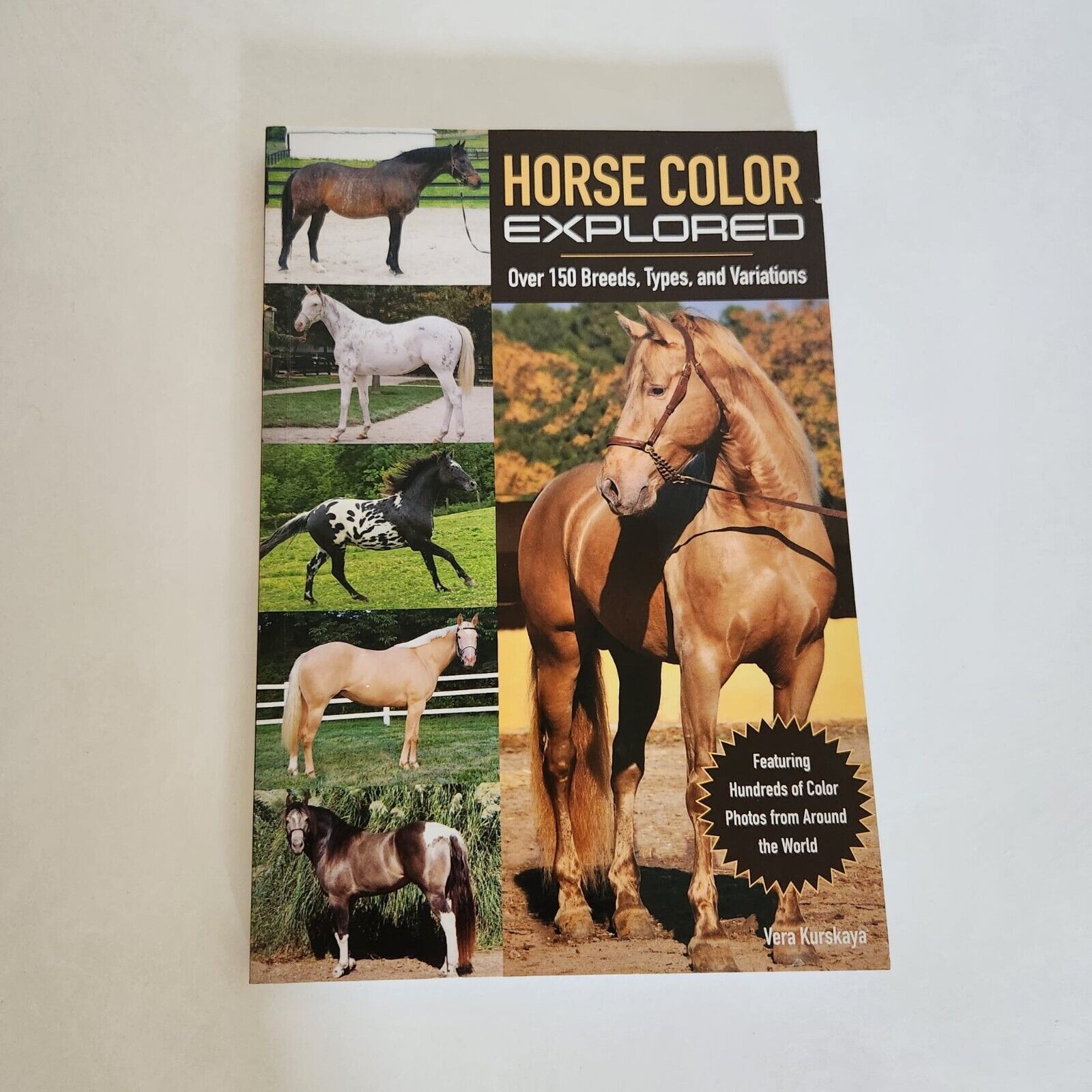 Horse Color Explored: Over 150 Breeds, Types and Variations 