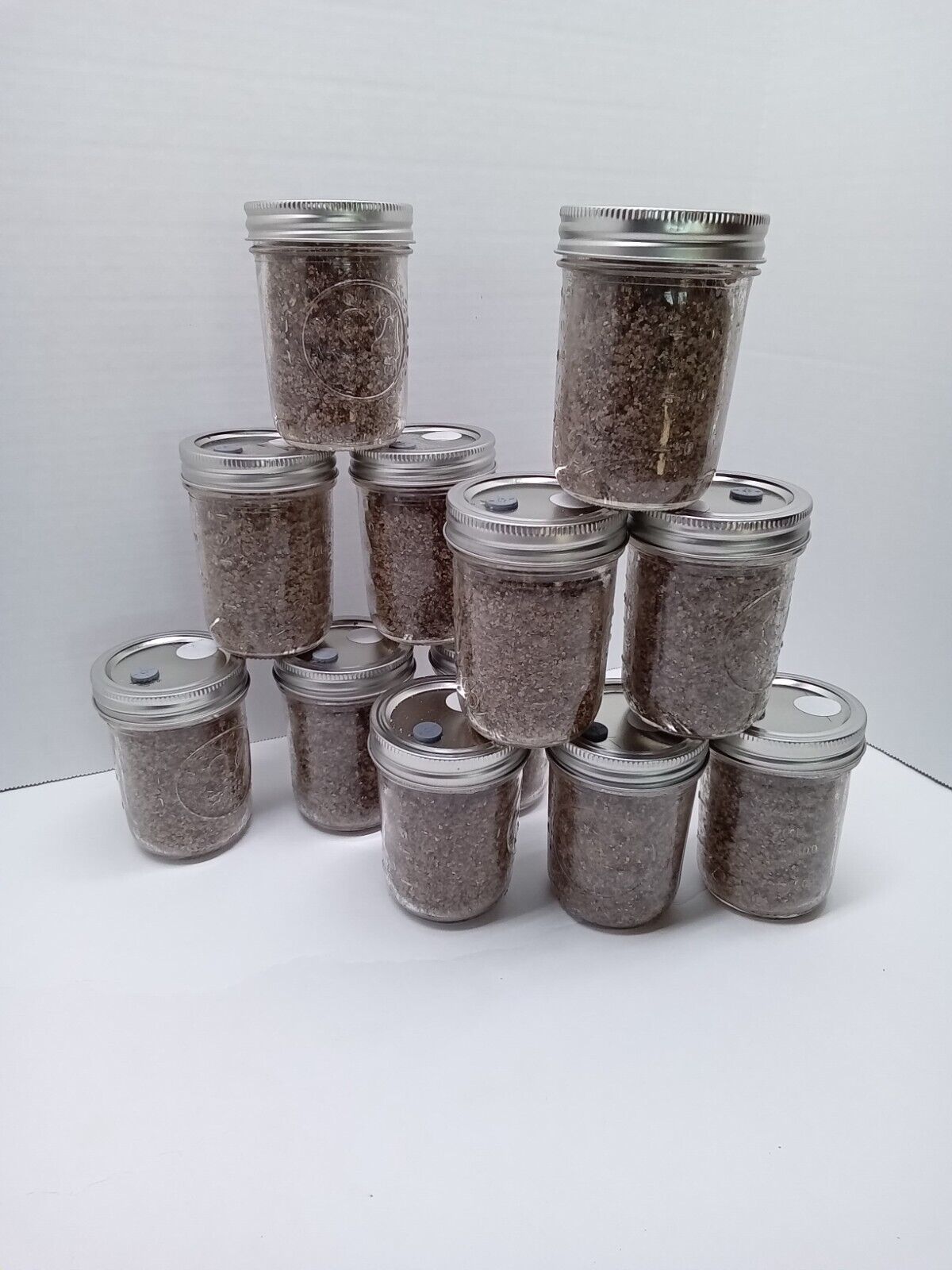 PF Tek Mushroom Jars BRF 1/2 pint sterilized EASY To Use Inject Filter FAST SHIP