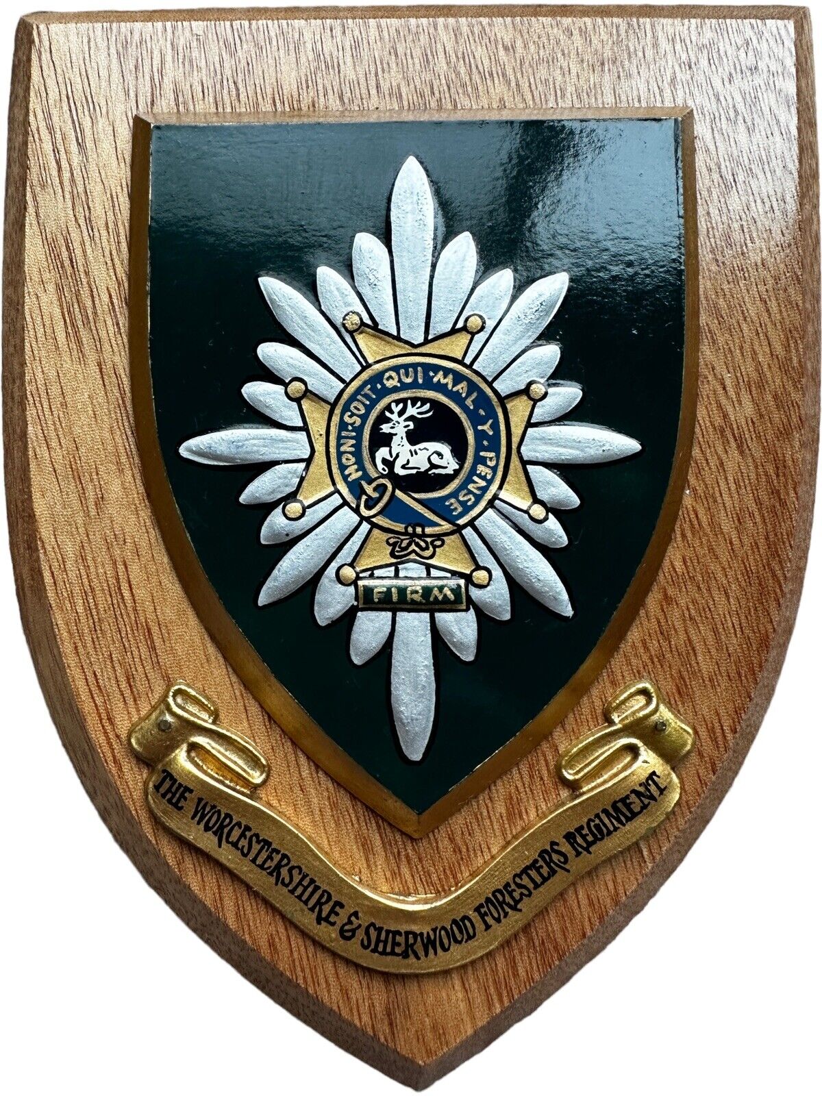WFR Worcestershire Sherwood Foresters Regiment Hand Painted Wooden Wall Plaque