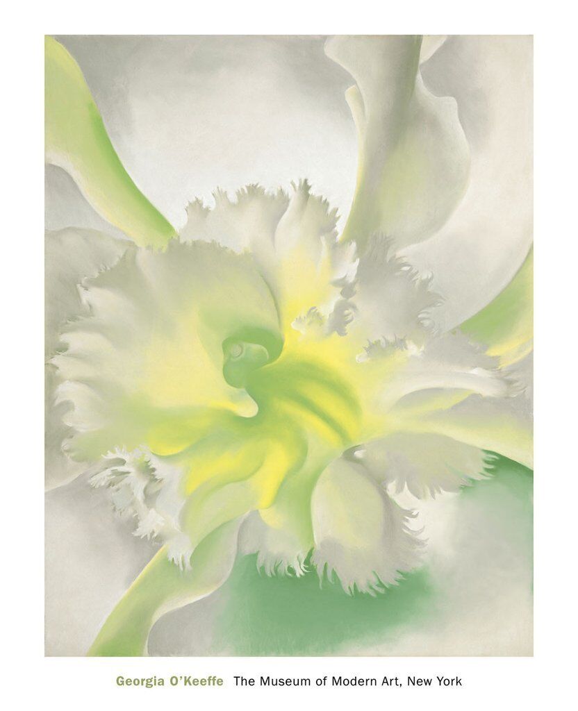 An Orchid, 1942 Georgia O\'Keeffe Art Print Floral Flower 2017 MOMA Poster 26x32