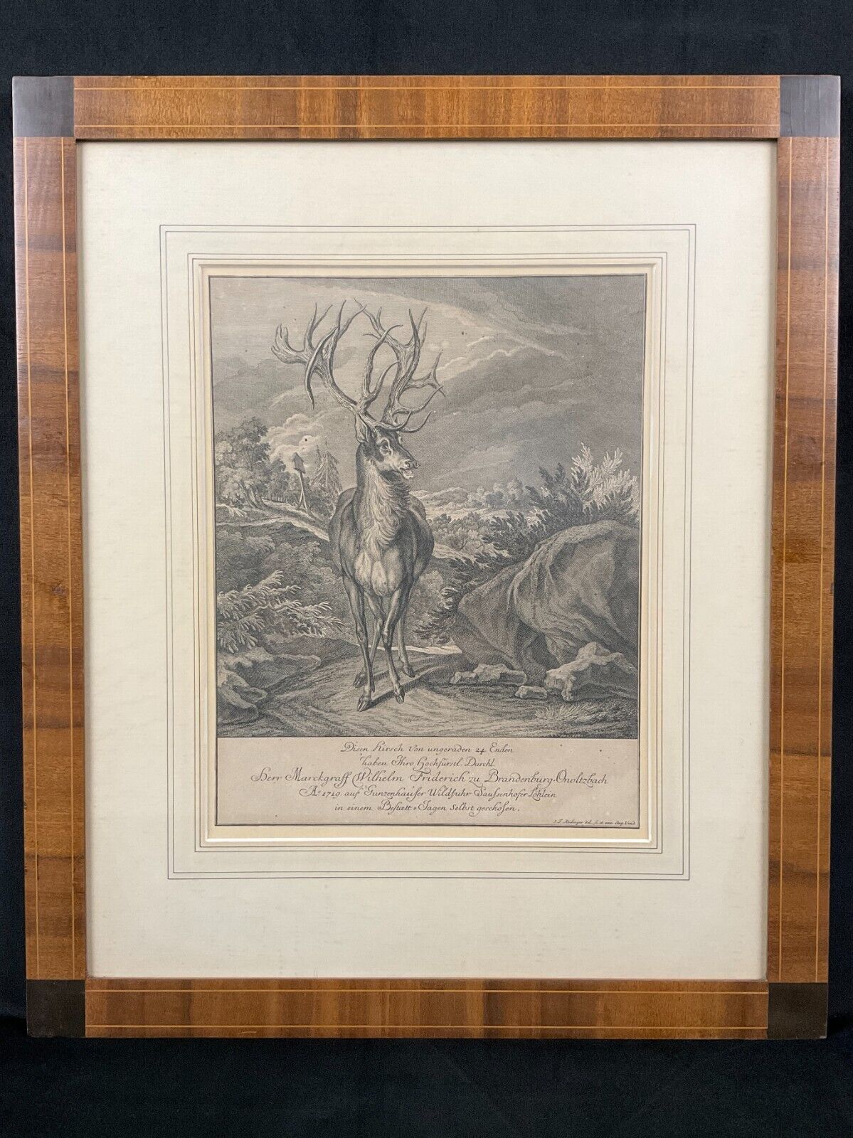 Antique Framed 18th Century Engraving of Stag After Johann Elias Ridinger