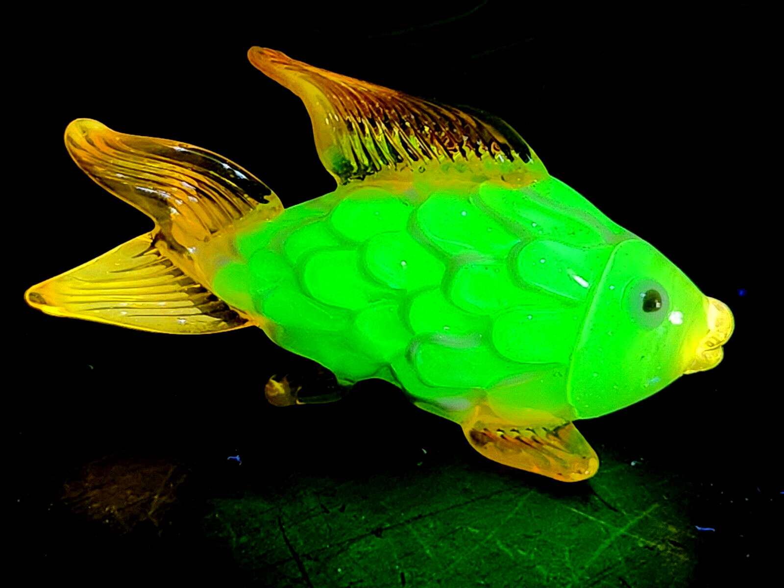 Magnificent uranium and cadmium glass goldfish  - Glows Under Black Light