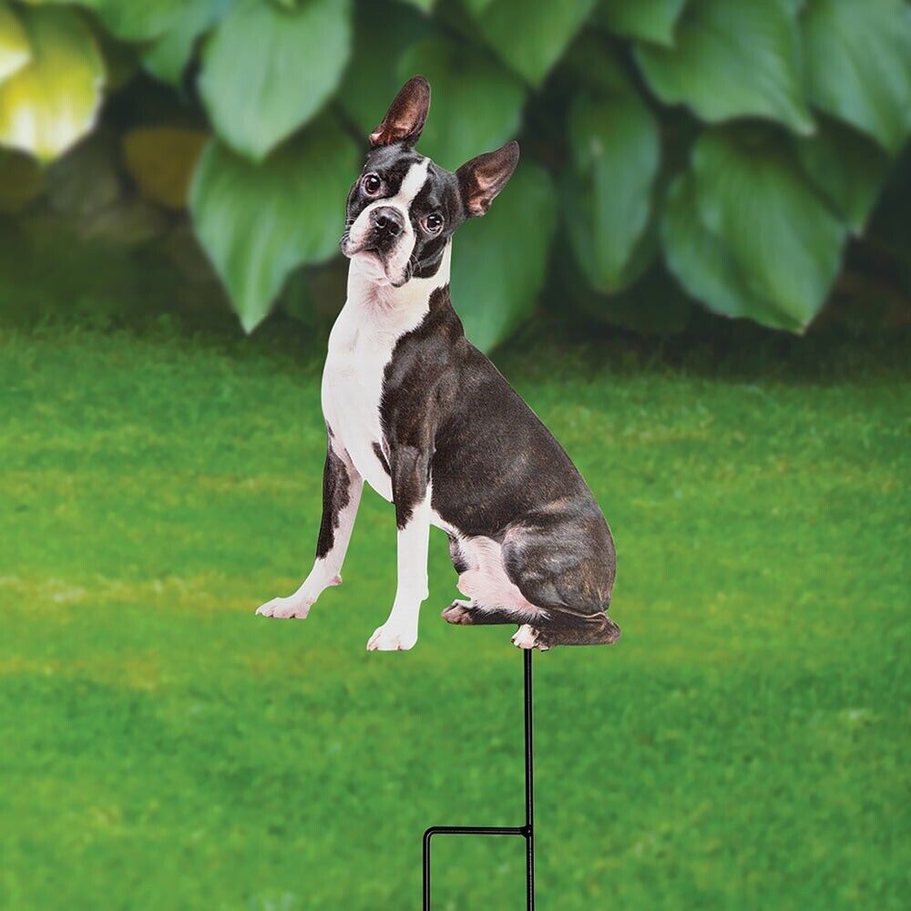 Photo Realistic Boston Terrier Puppy Dog Metal Yard Garden Stake