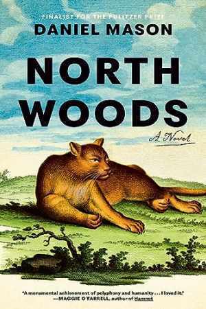 North Woods: A Novel - Hardcover, by Mason Daniel - Very Good
