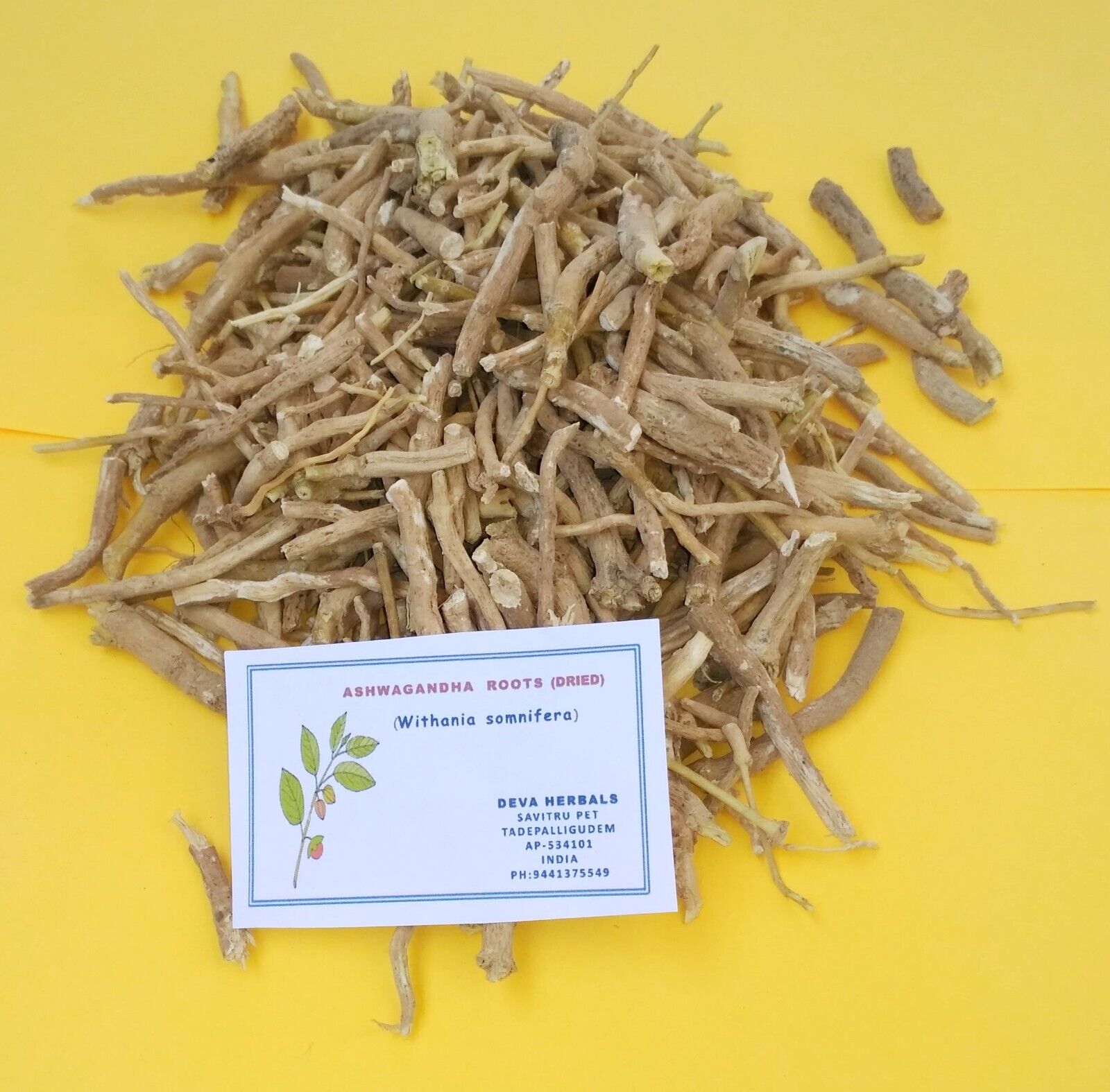 Ashwagandha (Withania somnifera) dried Roots-wild collection- pure organic