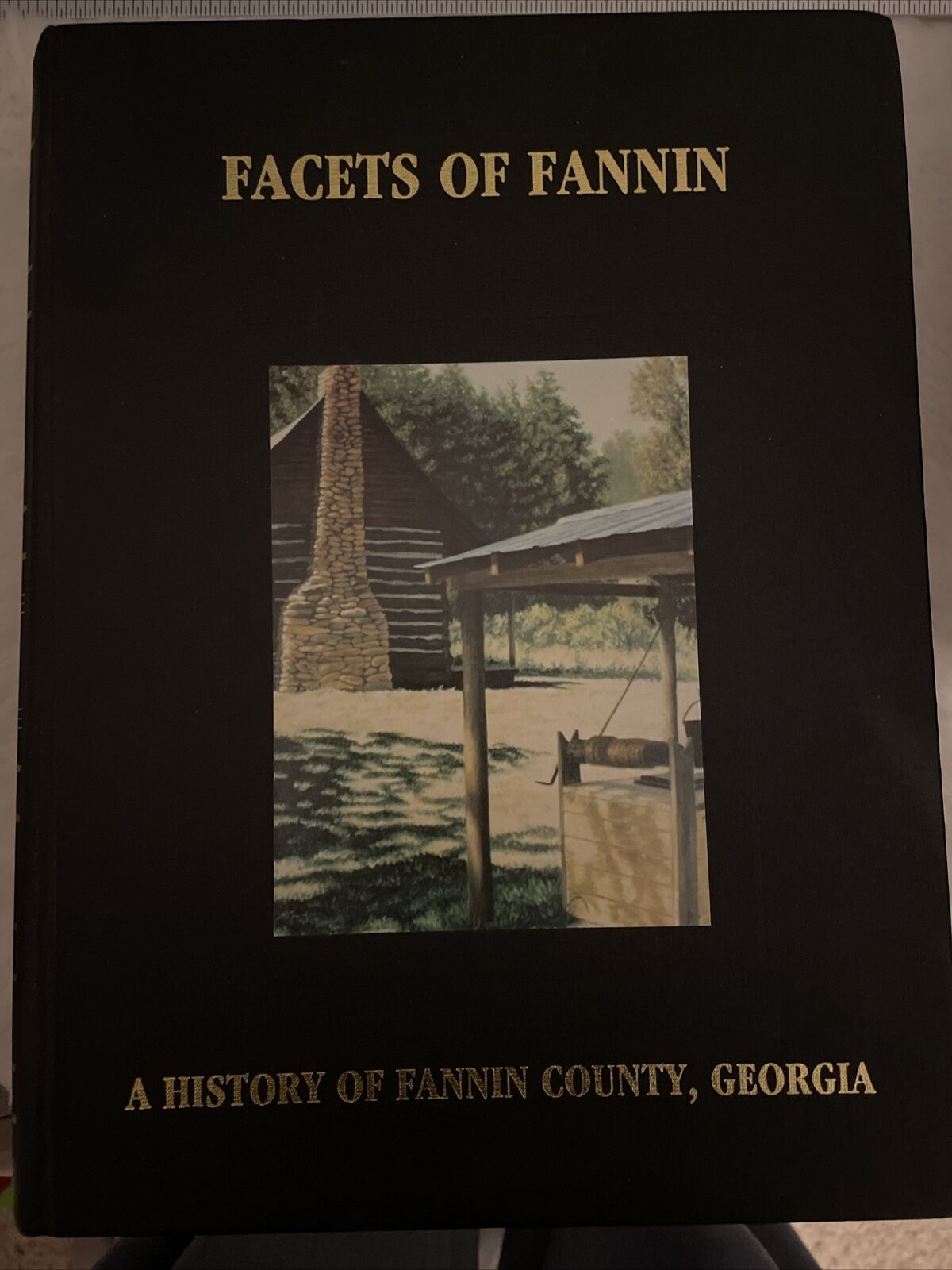Facets of Fannin History of Fannin County Georgia Blue Ridge 1989