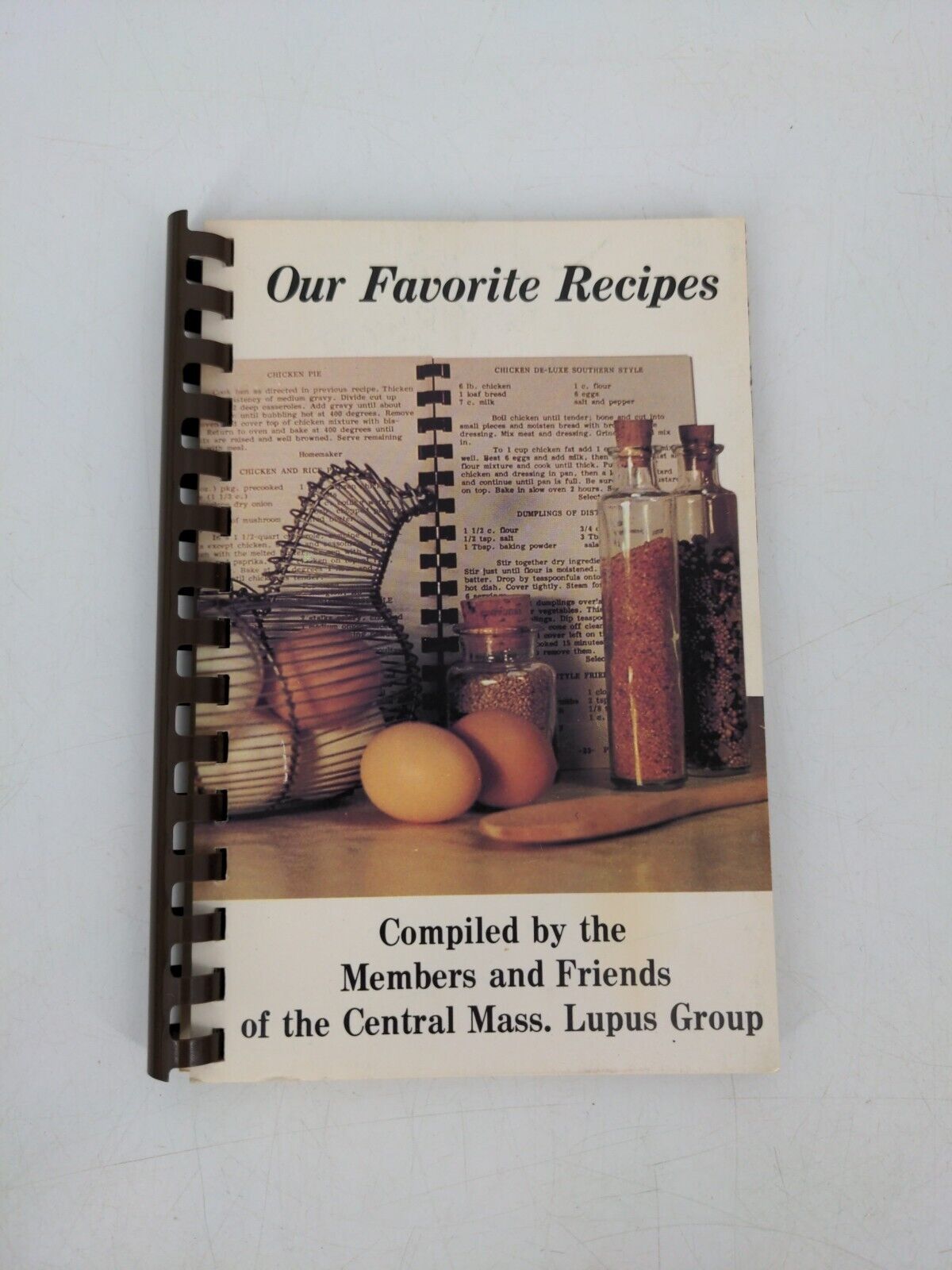 Vintage 1984 Our Favorite Recipes Friends of Central Mass Lupus Group Cookbook