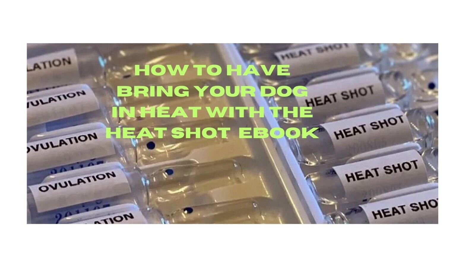 How to Bring Your Dog into Heat with Heat Shot ebook new