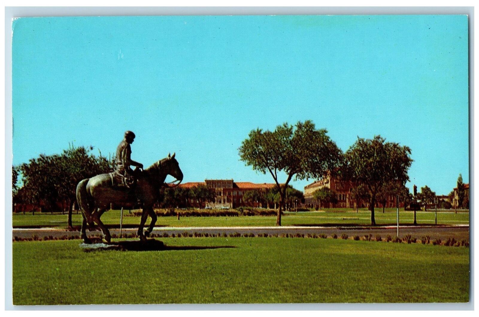 c1950 Statue Of Will Rogers Horse Riding Texas University Lubbock Texas Postcard