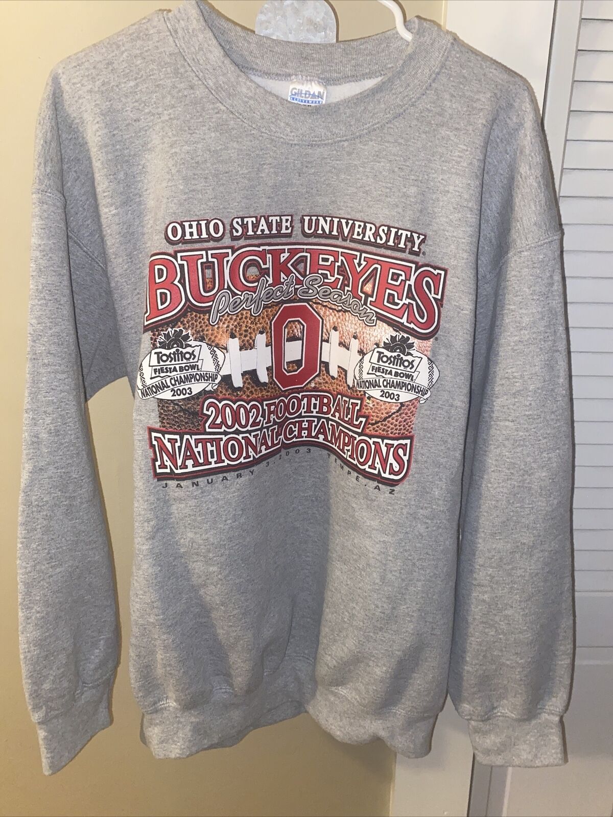 OHIO STATE BUCKEYES Sweatshirt  LARGE VTG 2003 NATIONAL CHAMPS Crew NCAA Gildan