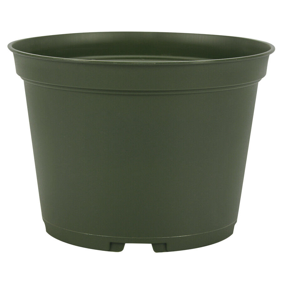 6 inch Flower Pot (Qty. 40), Nursery Container, Greenhouse Azalea Pots, Green 6\