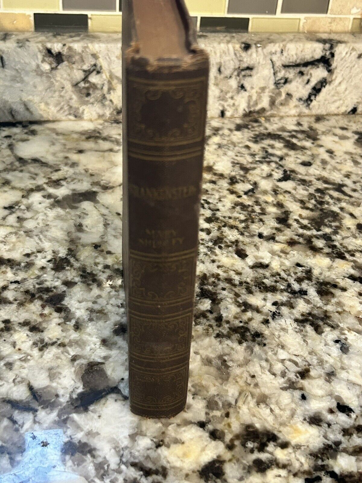 RARE ANTIQUE FRANKENSTEIN BOOK MARY SHELLEY ART TYPE EDITION CLASSIC 1930s