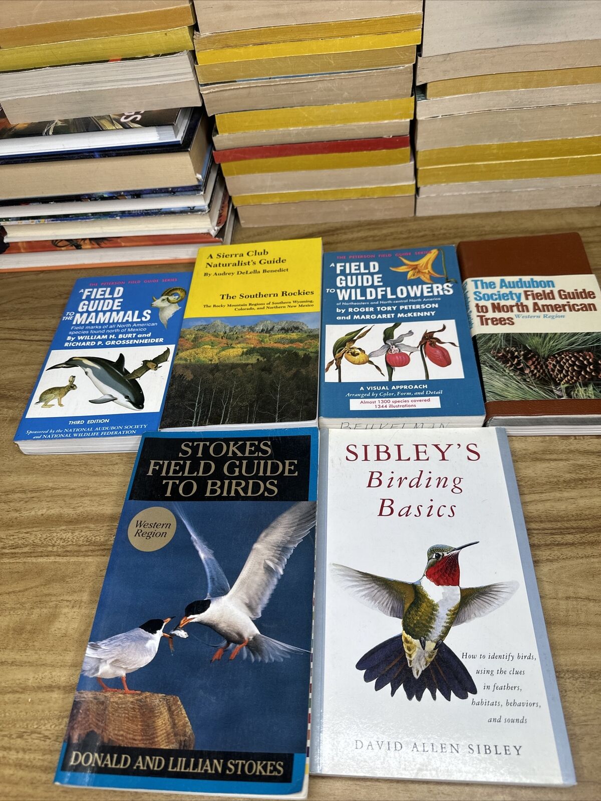 Peterson Audubon Field Guides Lot of 6 PB Books Mammals Birds Wildflowers Trees
