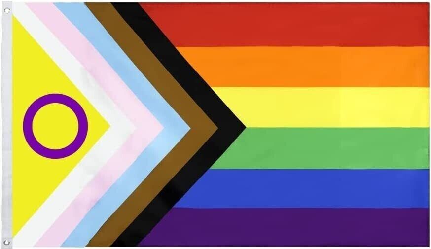 3x5FT Flag Updated Progress Pride Intersex Inclusive Gay Trans LGBTQ 100D