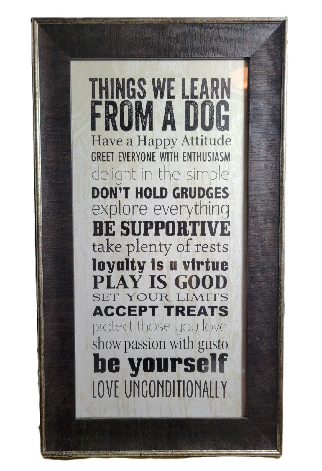 Artistic Reflections \'\'Things we Learn from a Dog\'\' Framed Art Animal Lover Gift