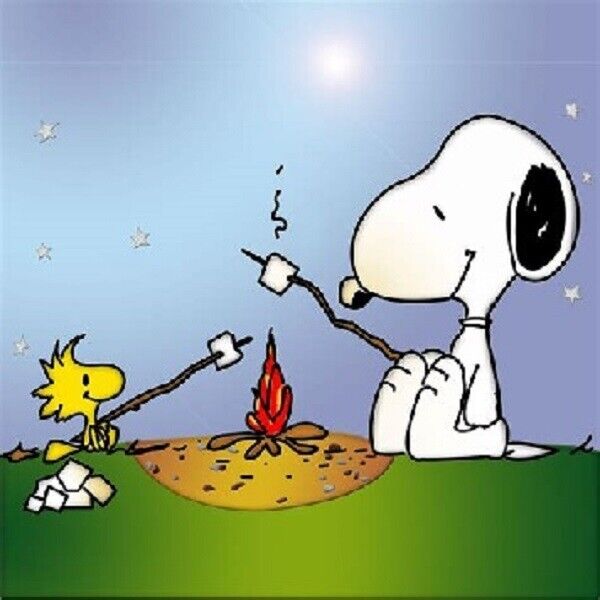 5D Diamond Painting Snoopy and Woodstock Campfire Kit
