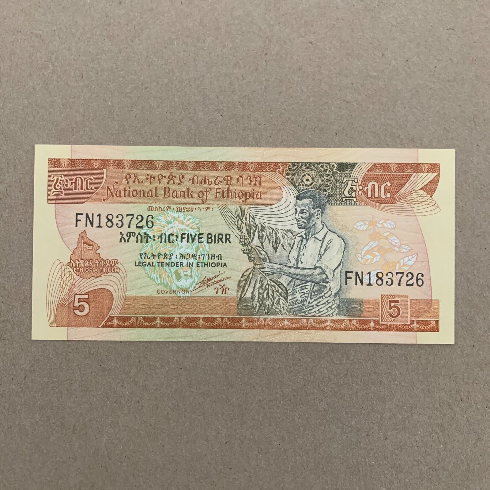 ETHIOPIA Banknote P-42b  5 Birr 1991  UNC Ethiopian Currency Paper Money