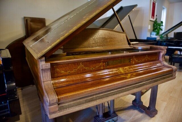 One-of-a-Kind Verdi\'s Aida-Themed 1901 Steinway Model B Grand Piano