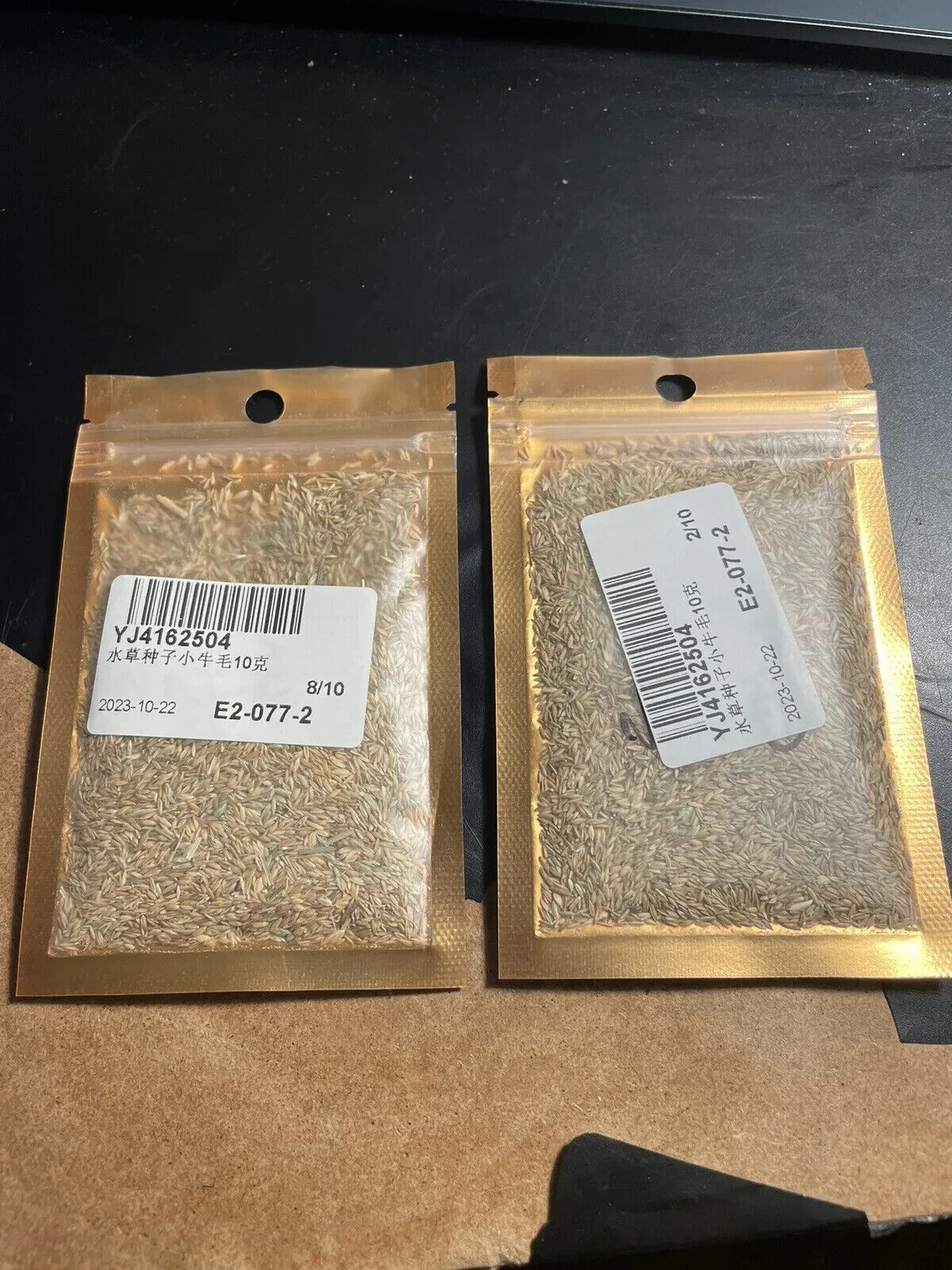 (2 Packs) Zenith Zoysia Grass Seeds/ Lawn grass 10000++ Seeds 