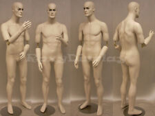 Male mannequin Short Version Flexible Arms copper arm joints #MD-BC8S picture