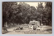 Benton Harbor MI-Michigan, Miniature Bird House, Antique, Vintage Postcard picture