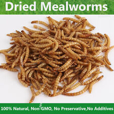 11-44lbs Bulk Dried Mealworms Non-GMO for Wild Birds Chickens Hen Meal Treats  picture