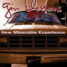 Gin Blossoms - New Miserable Experience [New Vinyl LP] picture