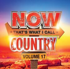 Various Artists NOW Country 17 (CD) picture
