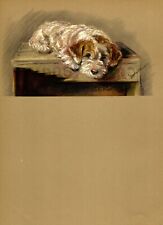 1940s Vintage Sealyham Terrier Print Wall Art Decor Lucy Dawson Art 5440k picture