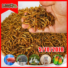 5/10/20LBS Dried Mealworms Calcium Rich for Hens Wild Blue Bird Food Chickens picture