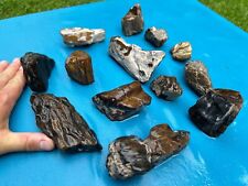 Texas Petrified Wood Lot Highly Agatized Translucent Cabochon Jewelry Material picture
