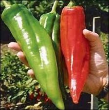 25 HATCH BIG JIM PEPPER SEEDS ~ heirloomseedguy ~ 2024 ~ NON-GMO picture