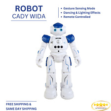 Cady Wida Remote Controlled Robot picture