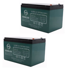 2x 12V 12Ah 6-dzm-12 Battery for Scooter Electric Mobility go Kart ATV Quad Bike picture