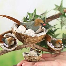 Female Cardinal Birds in Snowy Nests picture