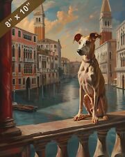 Italian Greyhound in a Venetian Setting Painting 8x10 Print picture