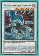 Yugioh - Black-Winged Dragon - 1st Edition Card picture