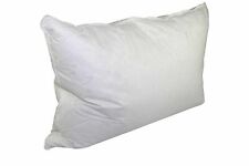 Pacific Coast Down Surround Standard Pillow picture