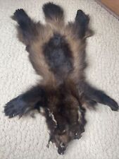 Vintage Alaskan Wolverine Pelt With Claws picture