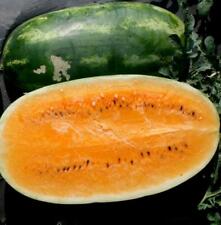 Tendersweet Orange Watermelon Seeds, Very Sweet, NON-GMO, Heirloom,  picture